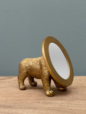 Dog Mirror