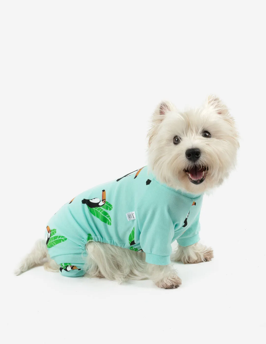 Dog Print Pajamas