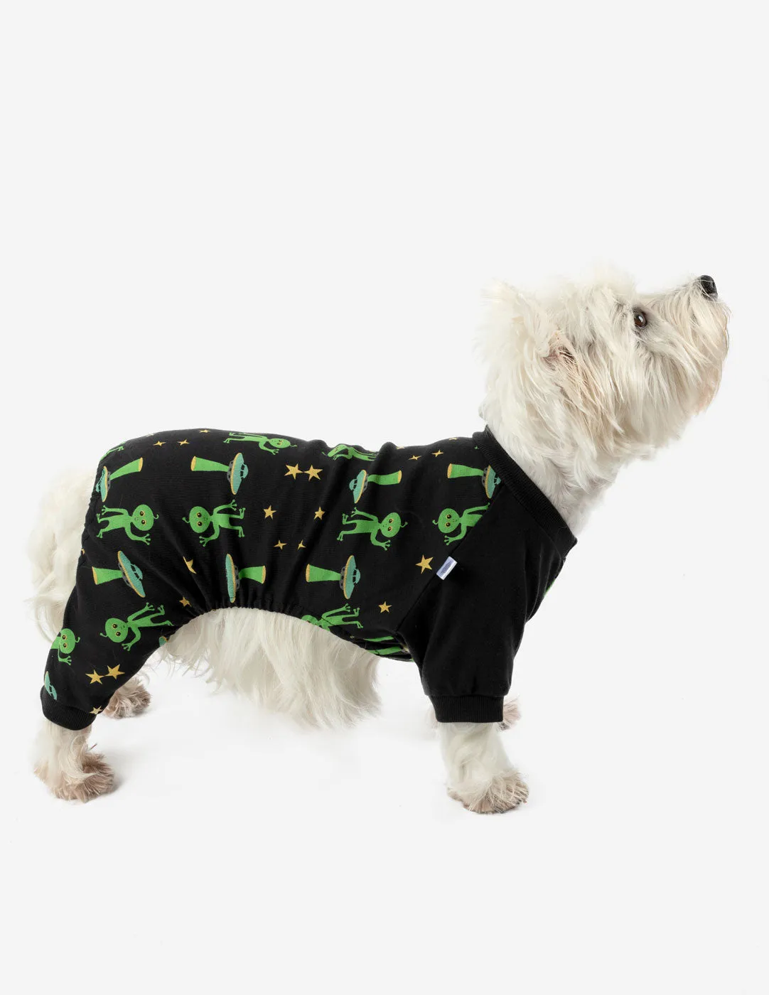 Dog Print Pajamas