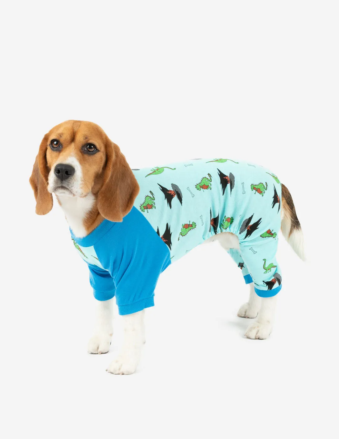 Dog Print Pajamas