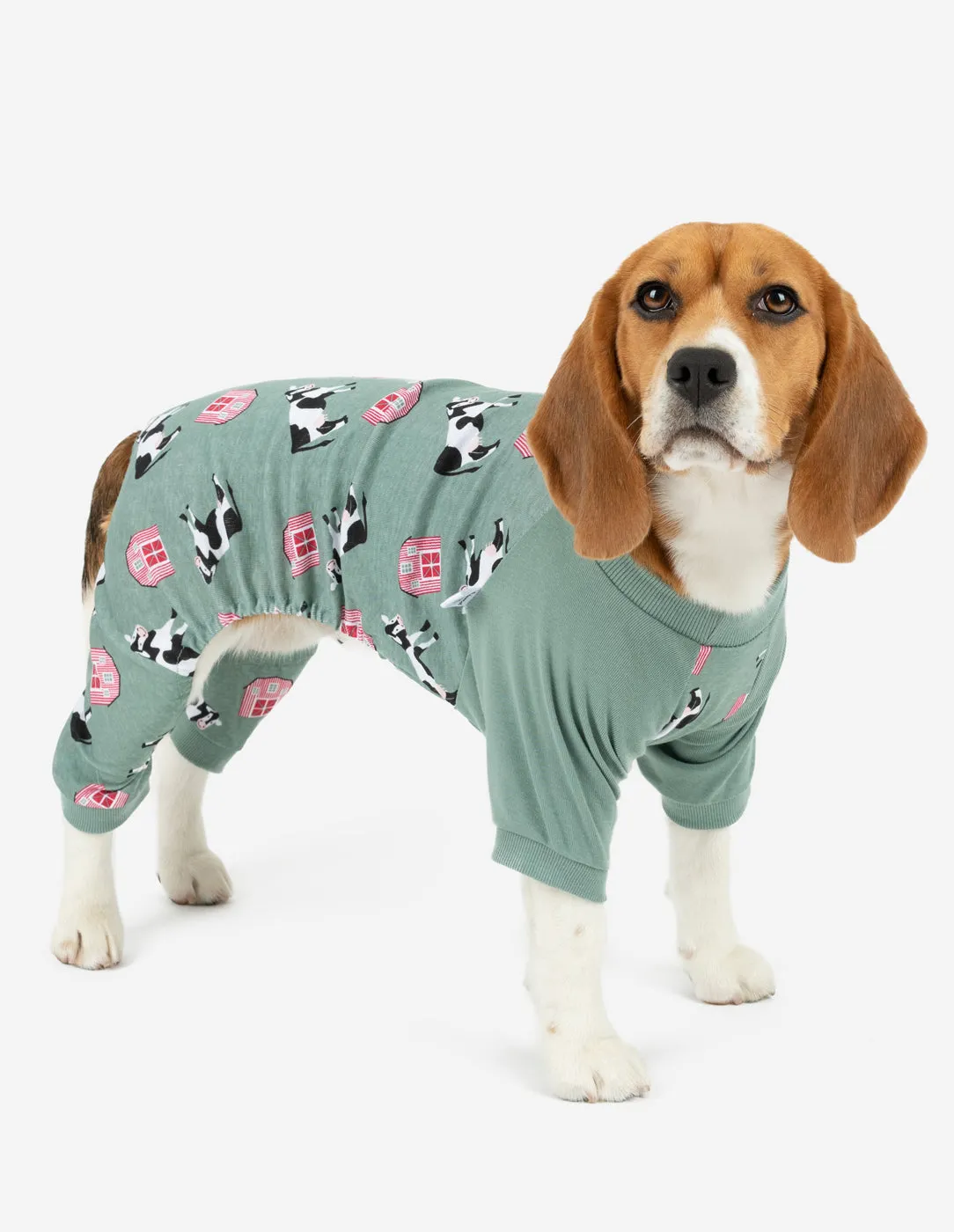 Dog Print Pajamas