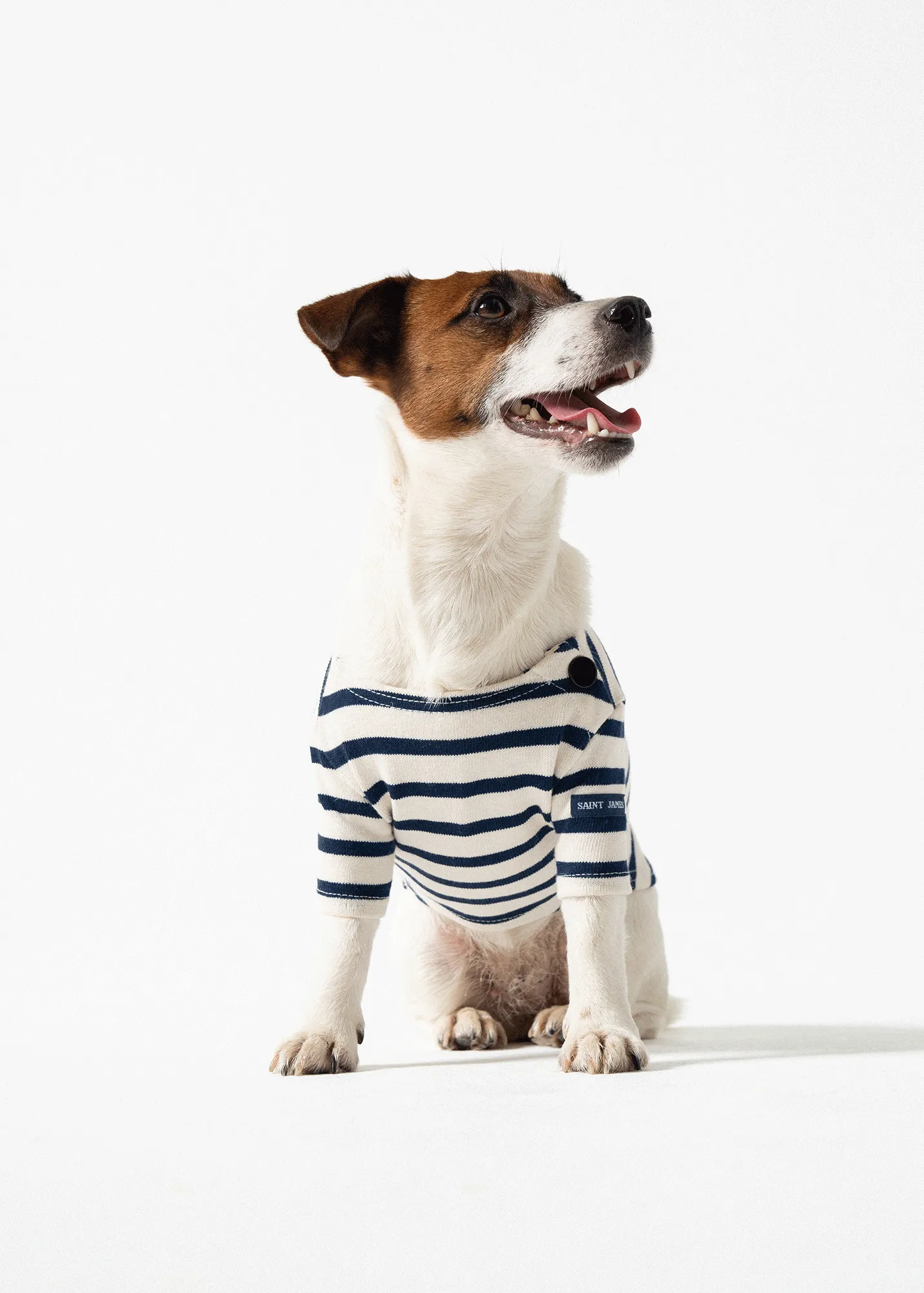 SAINT JAMES iconic Toutounière - sailor striped shirt for dogs (ECRU/MARINE)