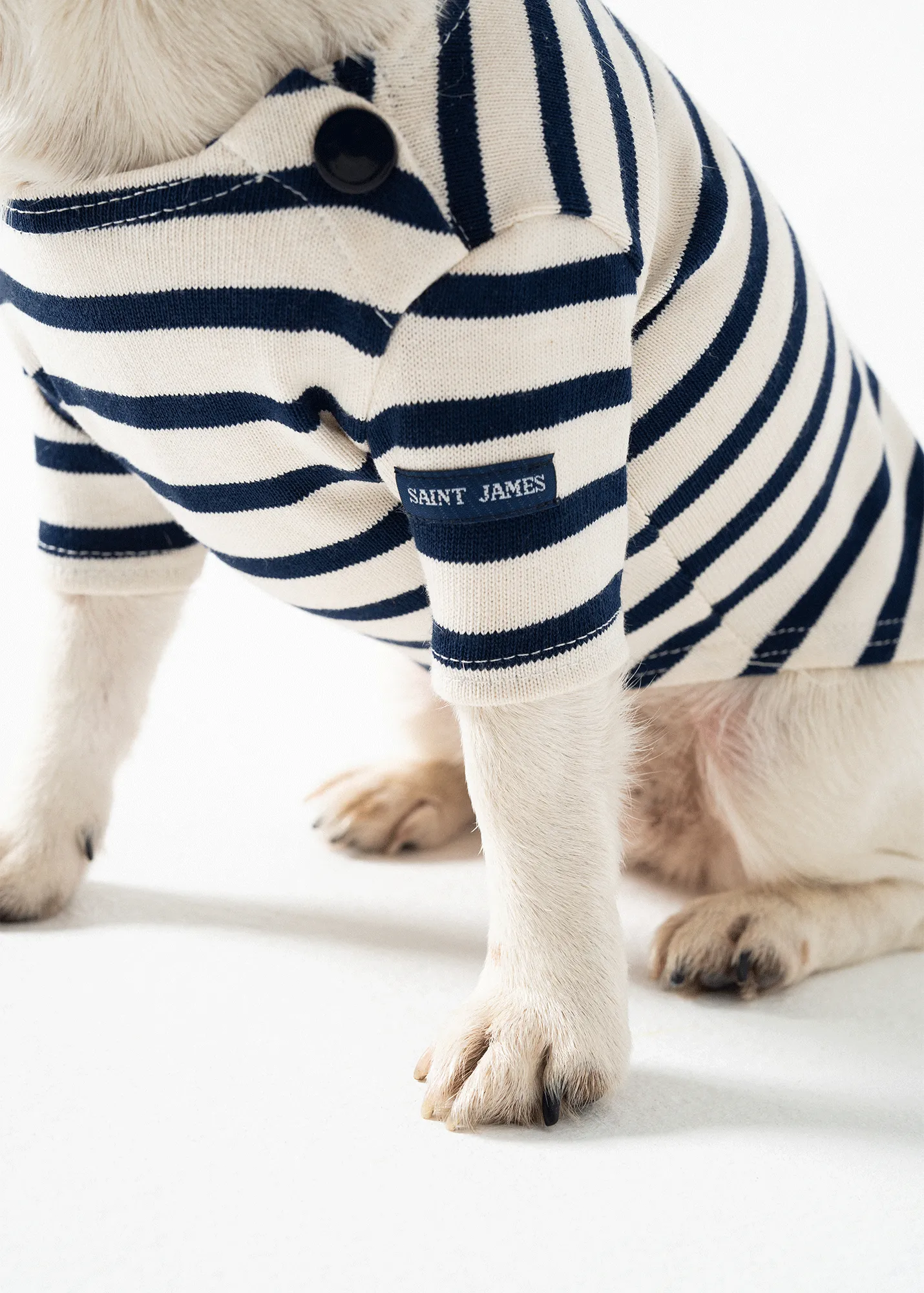 SAINT JAMES iconic Toutounière - sailor striped shirt for dogs (ECRU/MARINE)